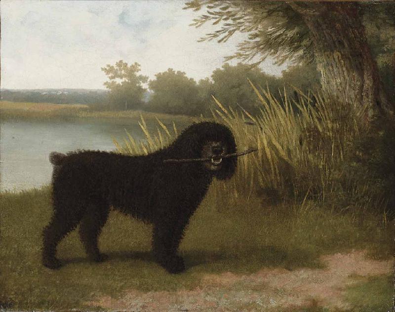 Jacques-Laurent Agasse A black water dog with a stick by a lake Spain oil painting art